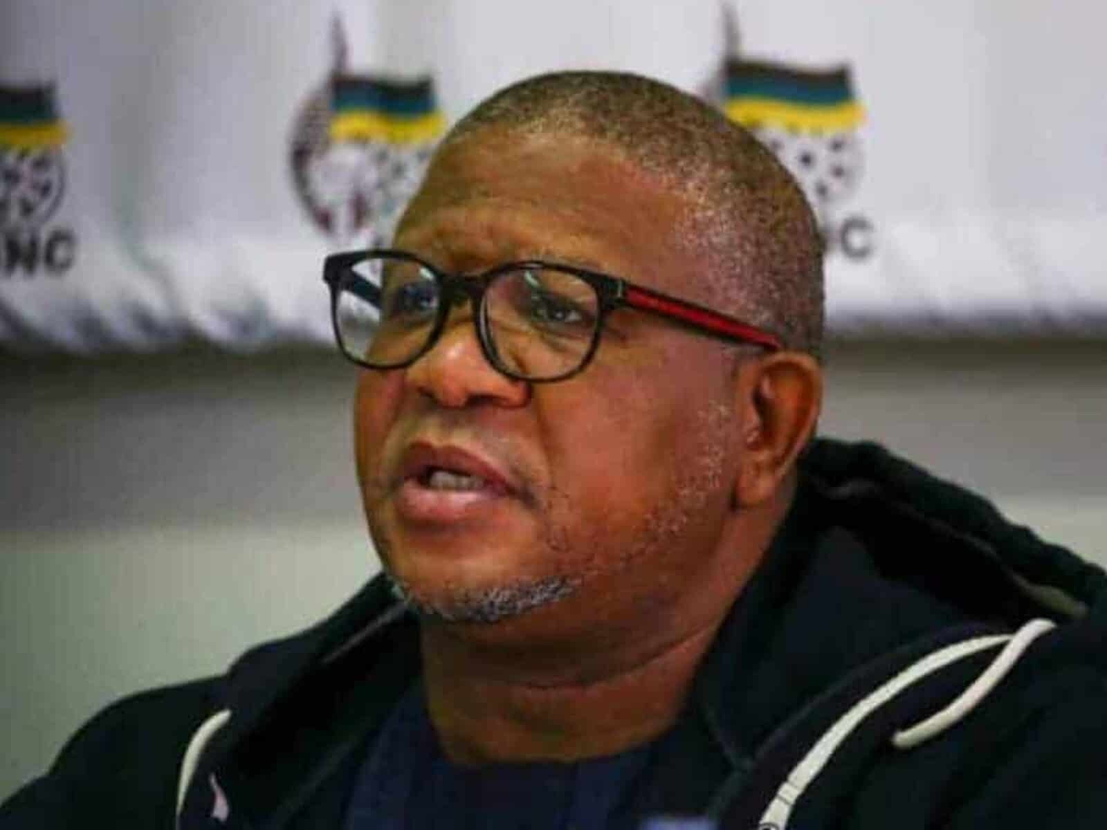 Mbalula accused of taking sides in Buffalo City leadership revolt