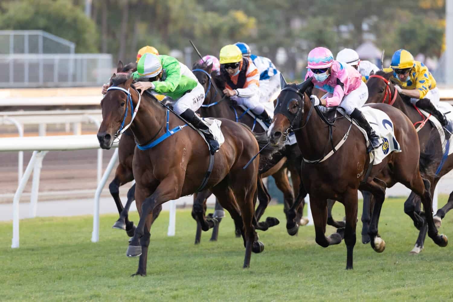 Punter alert: Scottsville racecourse is ahead of its time