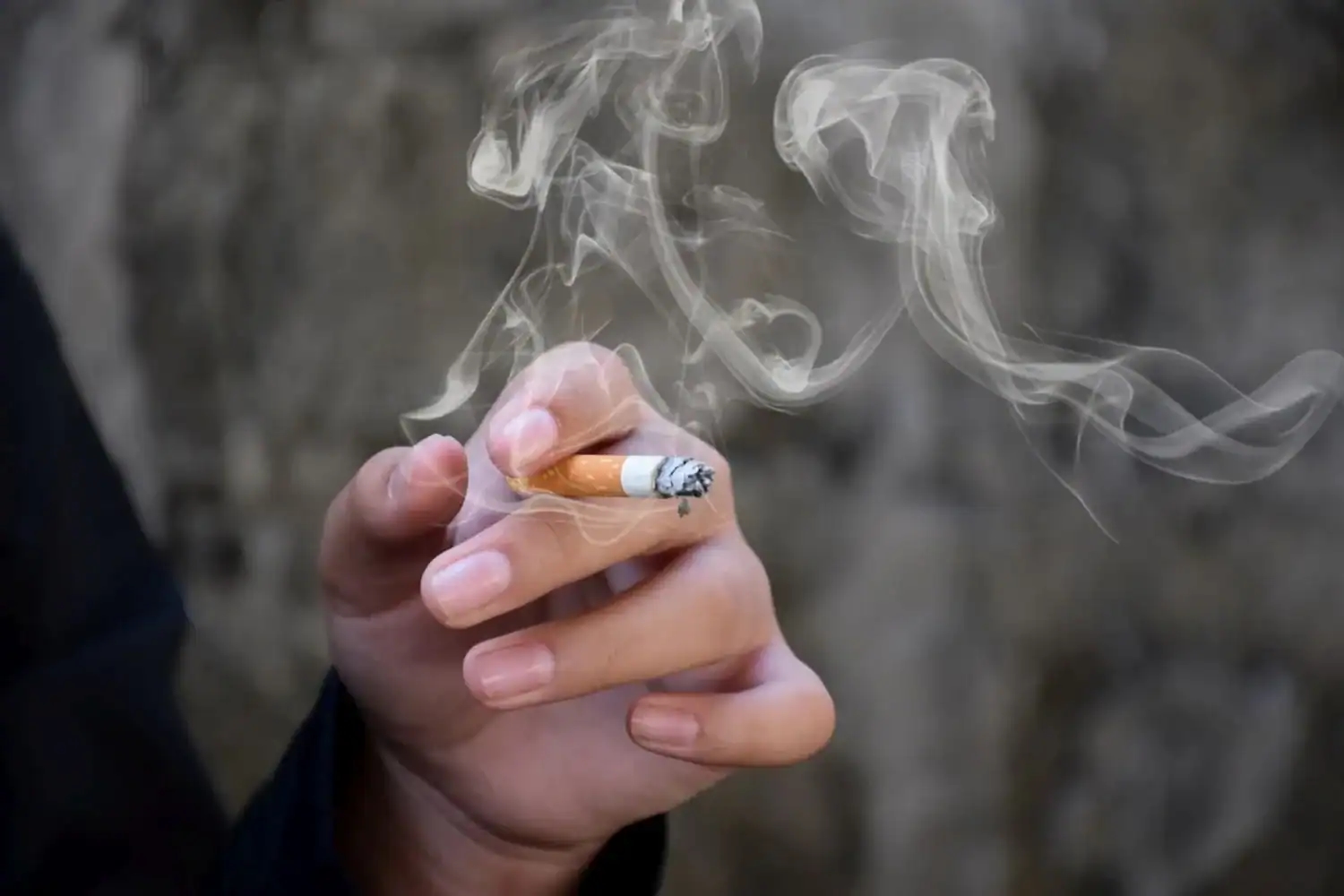 New smoking laws will drive illicit tobacco market, warns industry leader