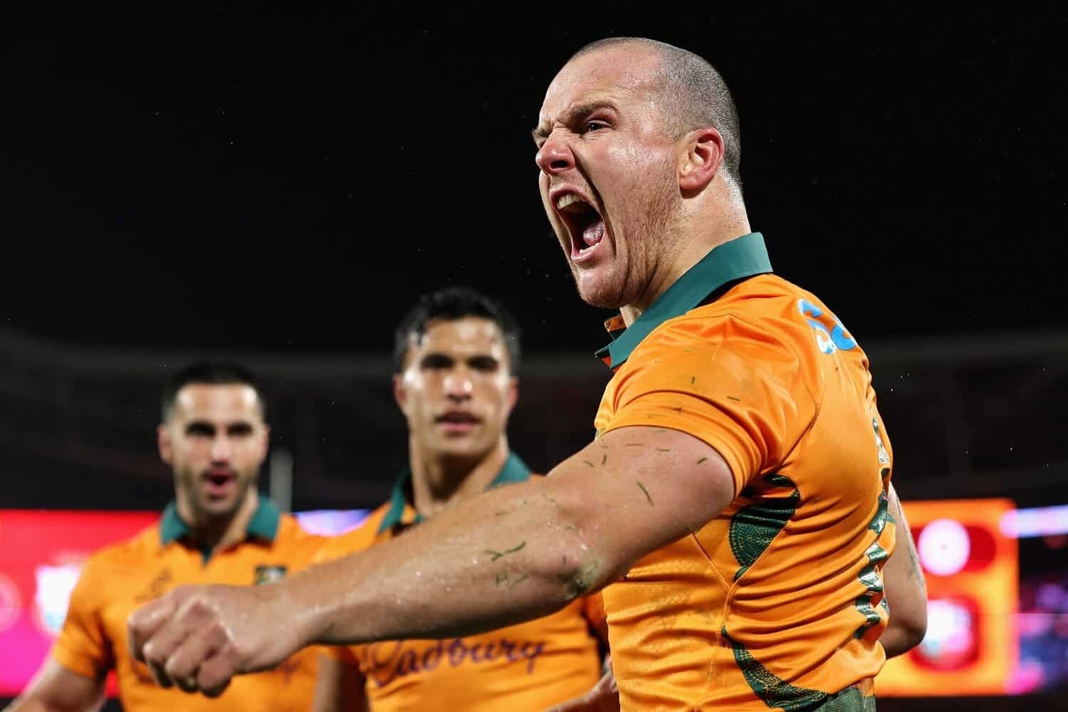 Wallabies improvement ‘through the roof' … and the Boks are up next