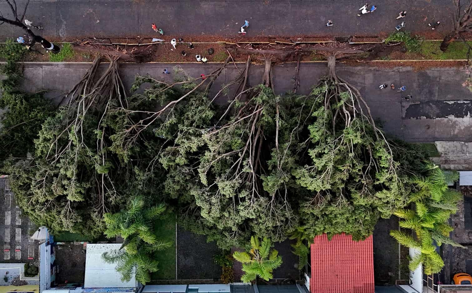 24 hours in pictures, 4 August 2025