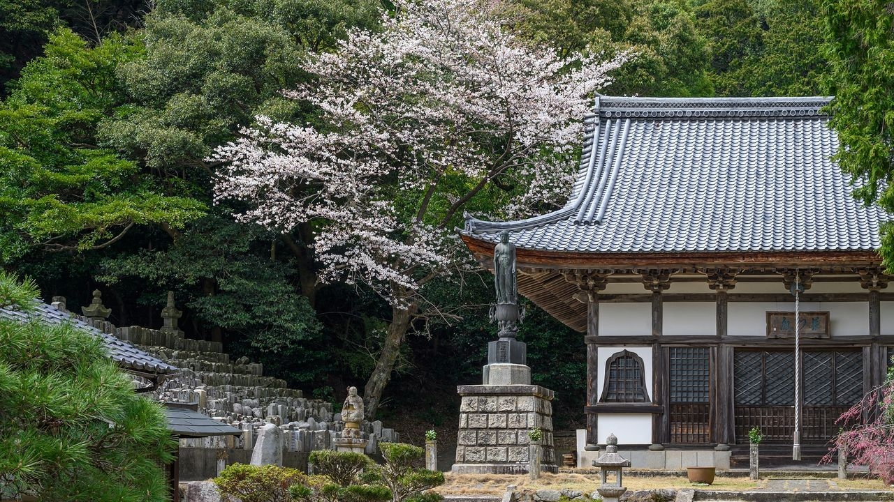 On Japan's Rural Coast, One Sleepy Town's Locals Are Vying For the Megacities' Travelers