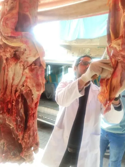 الزراعة: الخدمات البيطرية تكثف جهودها الرقابية استعدادًا لعيد الفطر المبارك