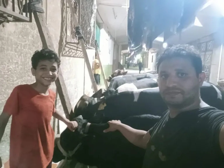 قبل عيد الأضحي .. تعرف على أسعار العجول و الخرفان و الجديان في الأسواق اليوم