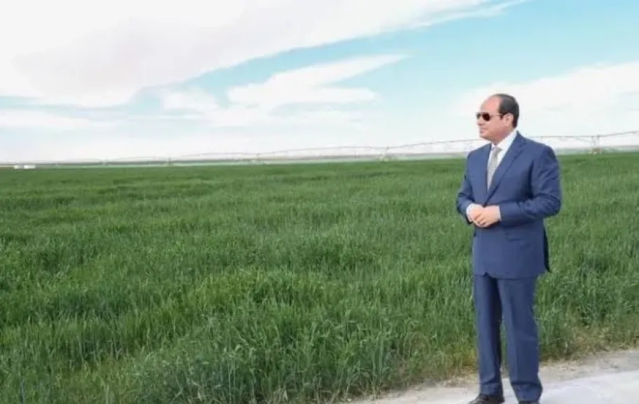 وديان تهنئ الرئيس السيسي بعيد الأضحى وتؤكد التزامها بتقديم أول حصاد خلال 2025