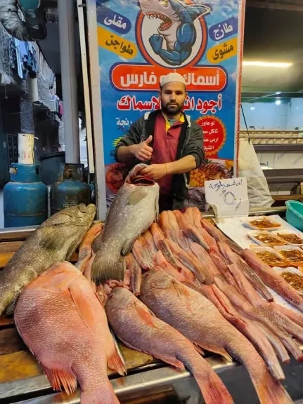 أسعار الأسماك اليوم الاثنين 7 يوليو 2025