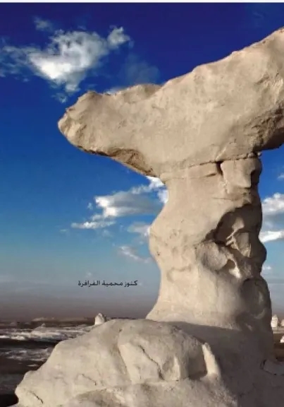 الزملوط: نؤسس أول عاصمة إدارية على غرار القاهرة.. ونستهدف زراعة 5 ملايين نخلة بنهاية 2025
