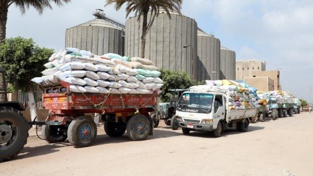 استلام 282 ألفا و223 طنا من الأقماح المحلية بمواقع التخزين في بني سويف