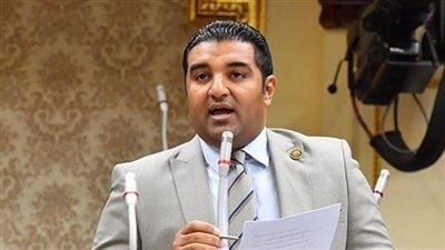 برلماني: التوترات بمنطقة الشرق الأوسط "مقلقة".. وأمن مصر خط أحمر للجميع