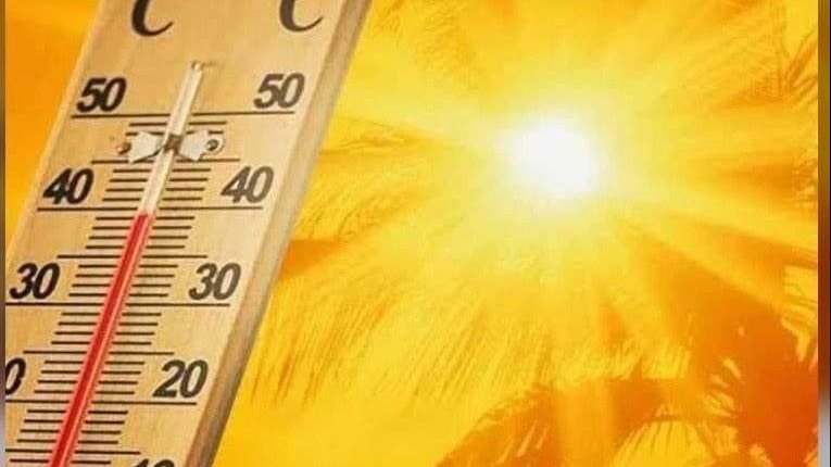 ضربة الشمس.. قاتل صامت في موسم الحر
