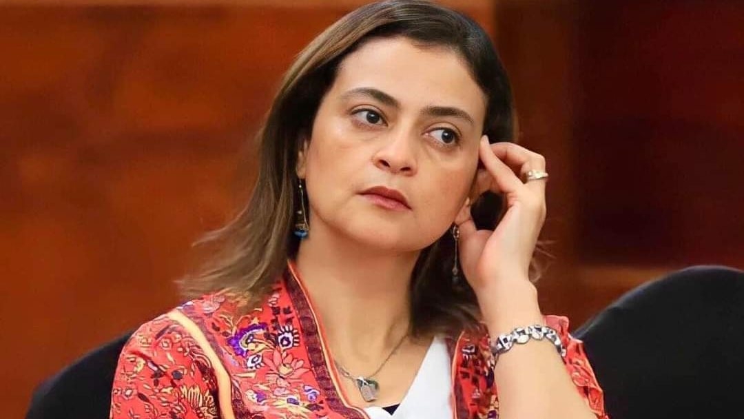 علا الشافعي: اختيار الأعمال الفنية يتم بدقة داخل الشركة المتحدة.. فيديو