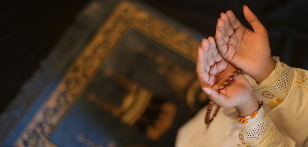 كيف أثبت التوبة في القلب؟.. أمين الفتوى يجيب