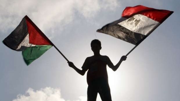 «خبيثة وساقطة».. مستشار الرئيس الفلسطيني يردّ على المظاهرات الخارجية ضد الدولة المصرية