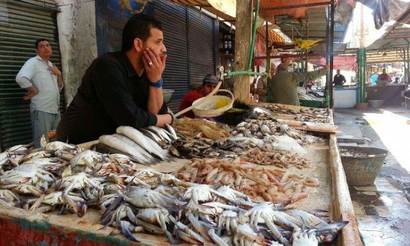 أسعار الأسماك والمأكولات البحرية اليوم الاثنين 14 يوليو 2025