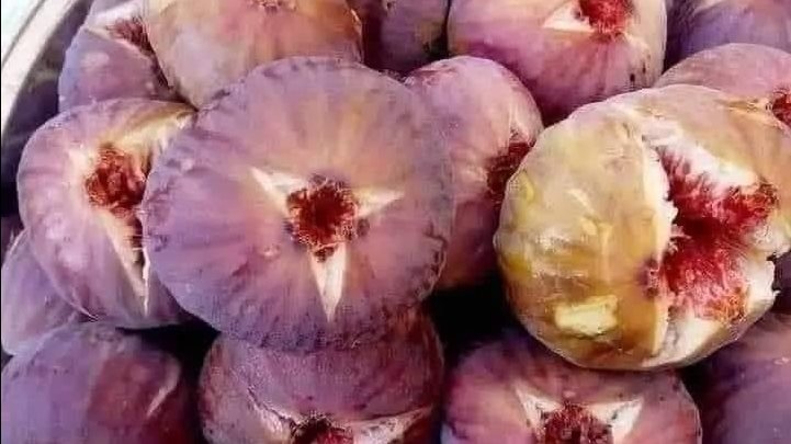 فوائد التين.. كنز صحي يحارب الالتهابات والقولون العصبي