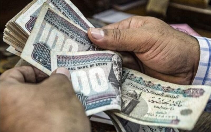 ثورة 30 يونيو والمرتبات.. كيف ارتفع الدخل من 1200 إلى 7000 جنيه؟