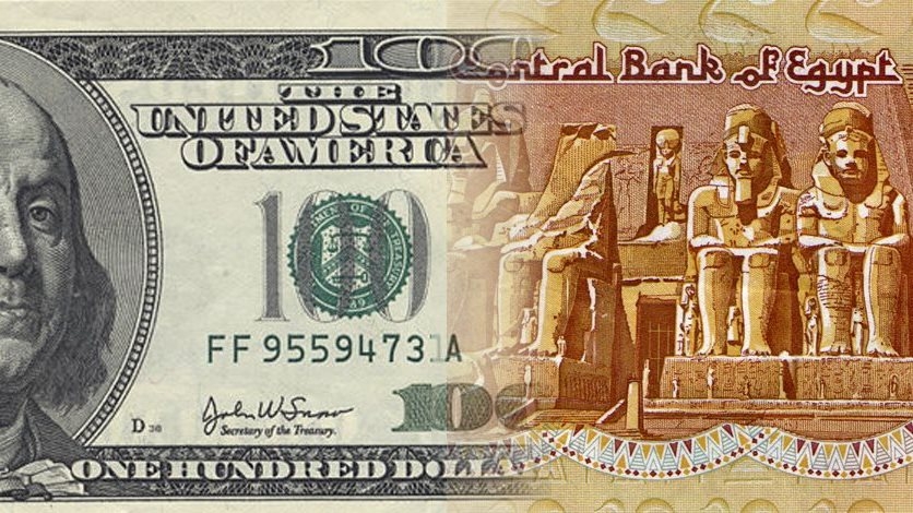 مفاجأة في سعر الدولار بعد قرار البنك المركزي