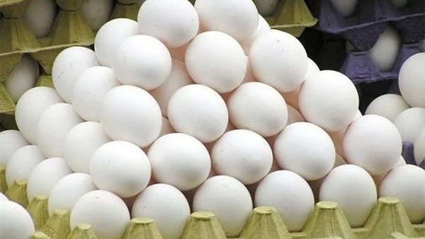 15 جنيها دفعة واحدة.. تحرك مفاجئ في أسعار البيض بالأسواق