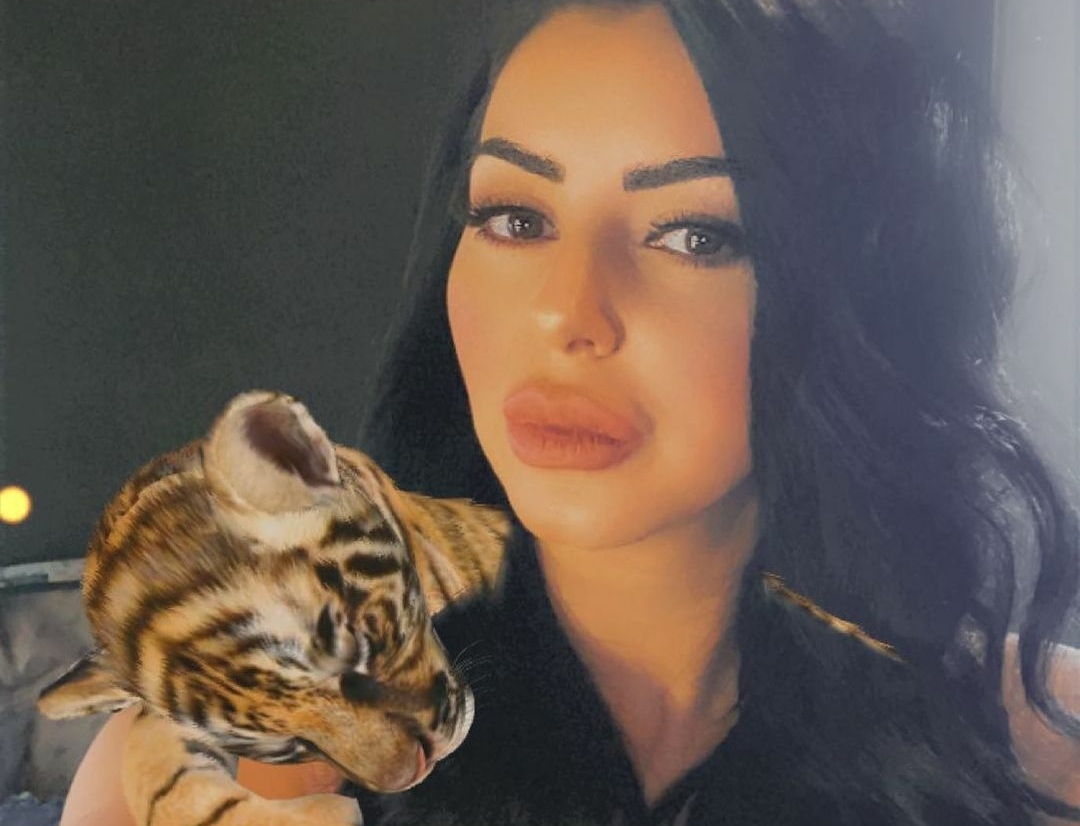 تسبب في وفاة ايناس النجار.. جمال شعبان يكشف الفرق بين التهاب المرارة وانفجا.رها