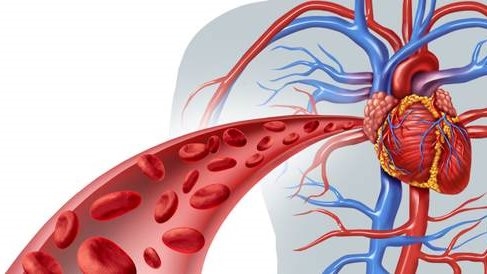 علامات تمدد الأوعية الدموية في الدماغ