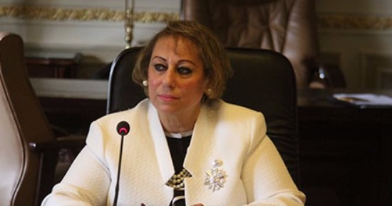 ميرفت ألكسان: المشروع التجاري الحكومي يسهم في كبح التضخم