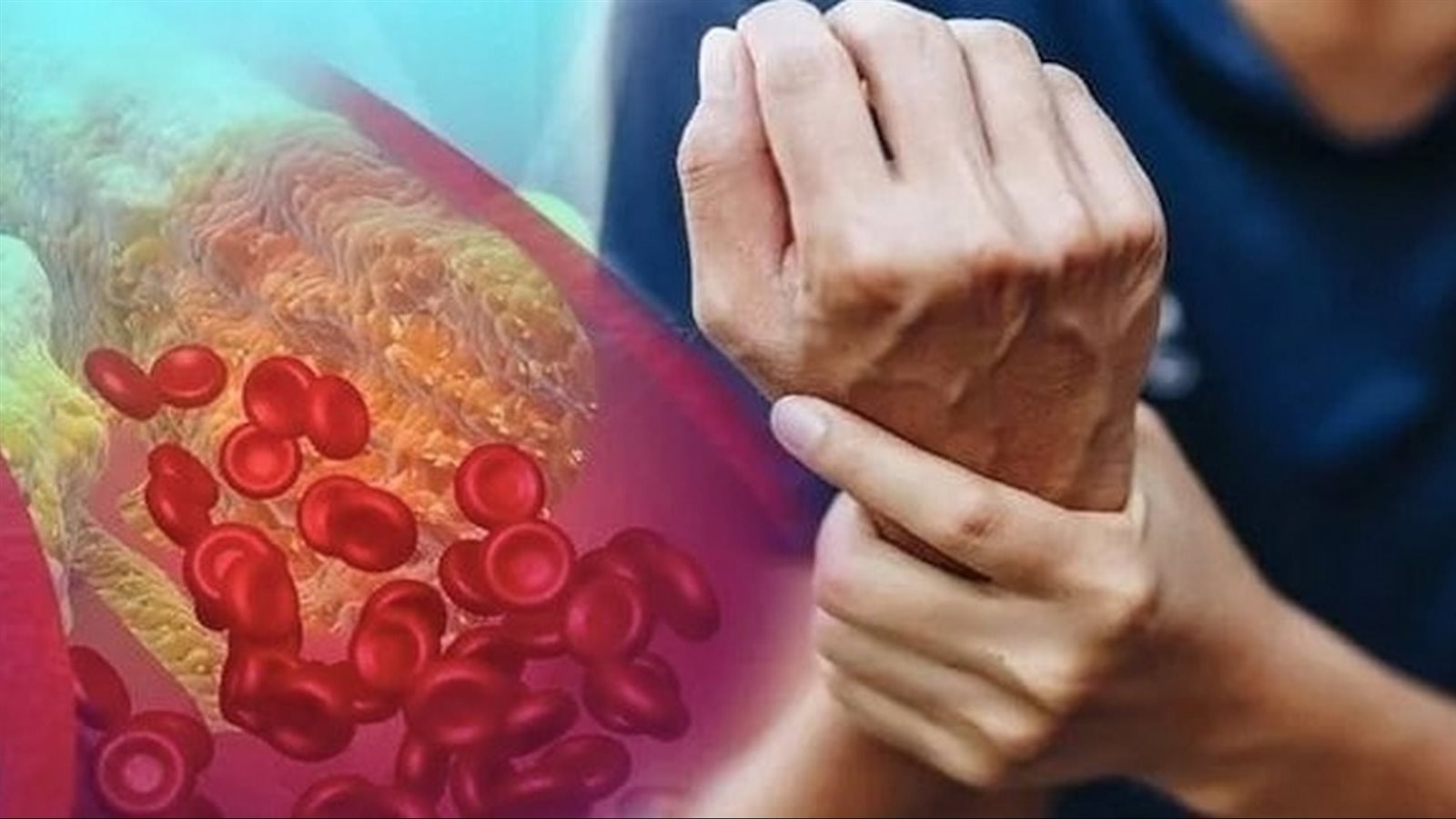 استمتع بالأكل.. 4 أنواع من الدهون تقلل الكوليسترول