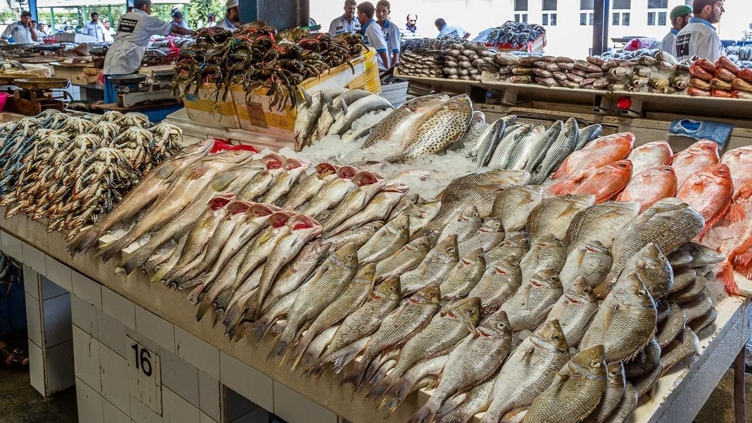آخر تحديث سعر الأسماك والمأكولات البحرية اليوم الخميس 27-3-2025