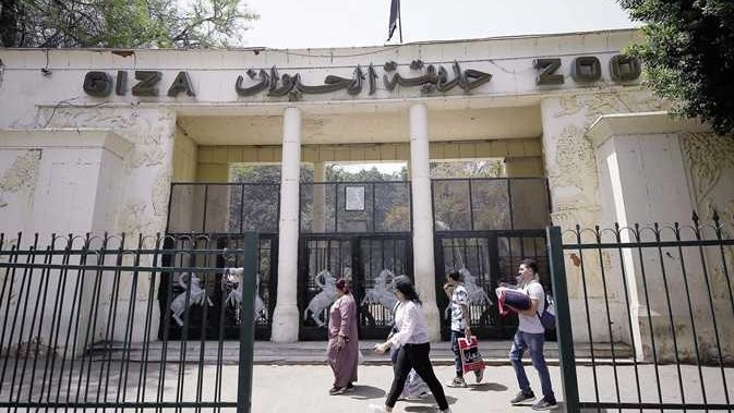 تطوير حديقة الحيوان.. تجربة استثنائية للزوار