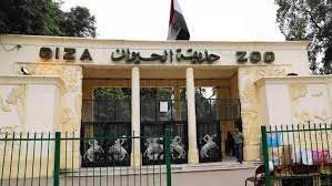 أهم مفاجآت حديقة الحيوان بعد تطويرها