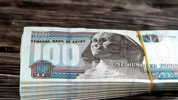 الحكومة تعلن مفاجأة بشأن مرتبات يونيو وصرف الزيادة في هذا الموعد