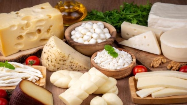 أفضل 9 أنواع من الجبنة.. صحية ولذيذة