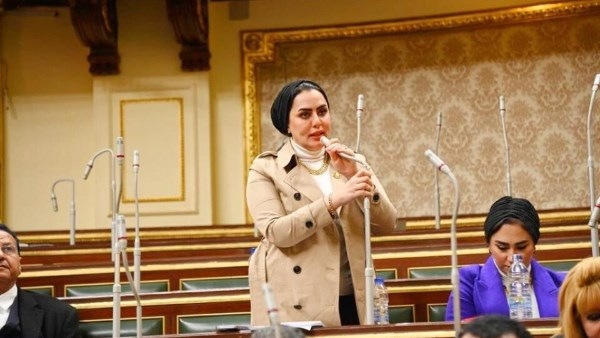 برلمانية: القرار العربي الرافض لاحتلال غزةجاء ليعبر عن الموقف الموحد للدول العربية