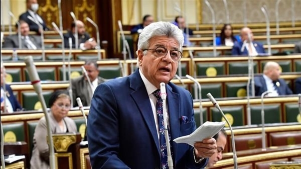 برلماني: زيادة الاستثمارات اليابانية في مجال التعليم بمصر أمر إيجابي