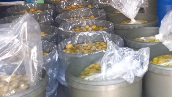 ضبط طن زيتون مخلل بدون بيانات في كفر الشيخ
