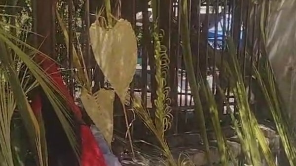 أقباط المنيا يحتفلون بأحد الشعانين.. شاهد