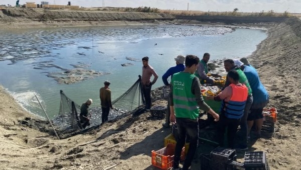 نجاح باكورة إنتاج مزارع الاستزراع السمكي.. وضبط 160 ألف علبة سجائر مجهولة المصدر