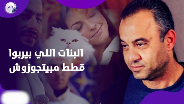 الجن العاشق في جسم القطة.. مخرج مسلسل المداح يكشف عنوسة البنات مربية القطط