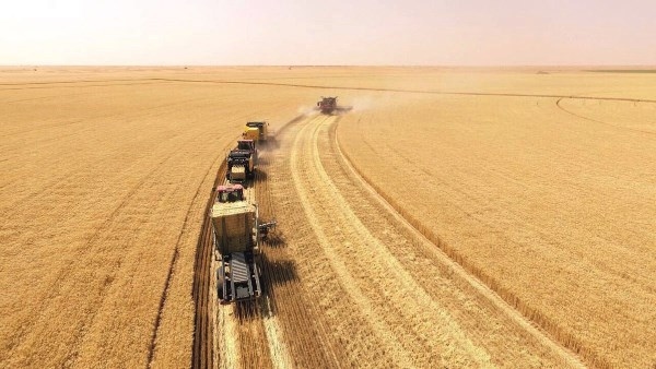 أكاديمي: الزراعة رأس الحربة للتنمية الاقتصادية