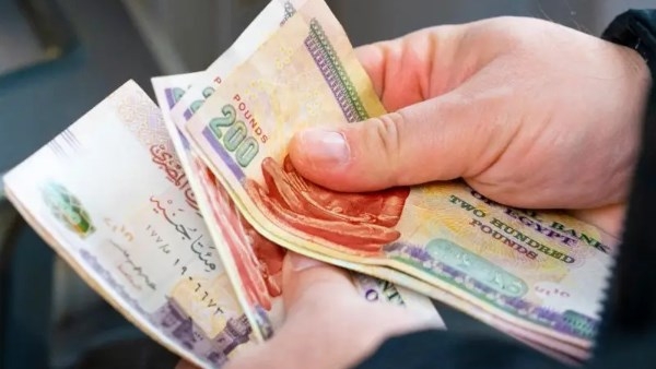 العودة للجذور.. كيف يساعدك الإنتاج المنزلي في مواجهة الأزمات الاقتصادية