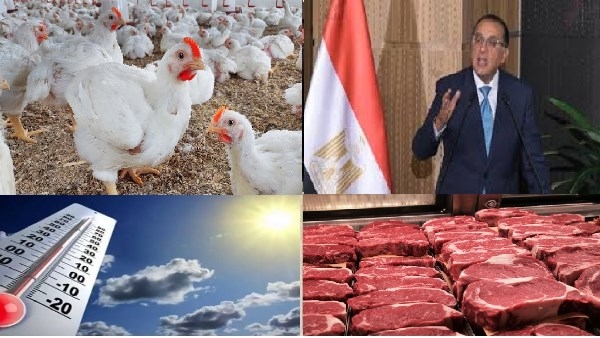 أخبار التوك شو.. مؤتمر صحفي للحكومة.. ومفاجأة بأسعار الدواجن.. بالتزامن مع عيد الأضحى.. شعبة القصابين: كيلو اللحمة بـ285 جنيهًا في المجمعات