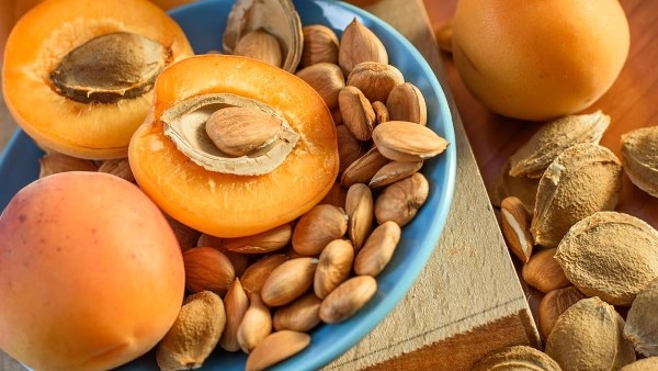 ما ترميش نواة المشمش .. اعرف فوائدها المذهلة