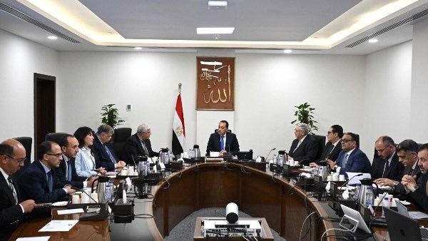 مدبولي يستعرض النتائج الخاصة بالتعاون بين جامعة أكسفورد لتطوير العلاج الجيني للسرطان