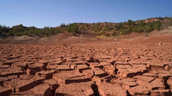 شح المياه وتغيّر المناخ يهددان الزراعة والأمن الغذائي في العراق