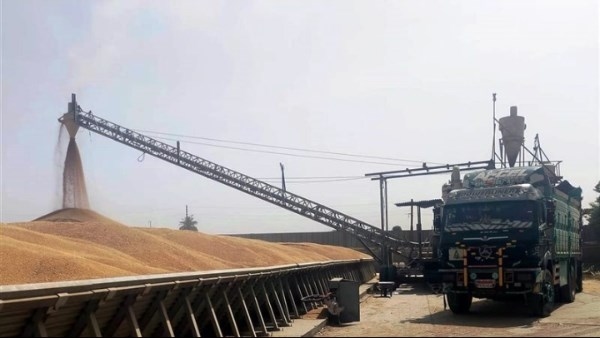 متابعات ميدانية لرفع كفاءة وتطوير الطرق.. وتوريد 553 ألف طن قمح