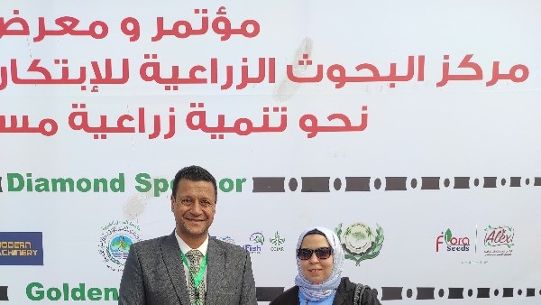 مدير "المحاصيل الحقلية" يكشف تفاصيل بدء إنتاج الأرز البسمتي والأسود.. وأسباب تحقيق أعلى إنتاجية من القمح