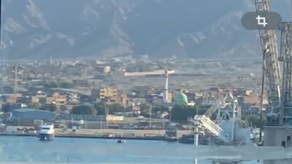 وصول 1057 رأس عجول حية لميناء سفاجا قادمة من جيبوتي