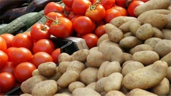 خفض الأسعار وزيادة التصدير.. وزير الزراعة: زيادة إنتاج البطاطس والطماطم 15%.. ونواب: لا بد من تحقيق الاكتفاء الذاتي من المحاصيل الإستراتيجية وعلى رأسها القمح