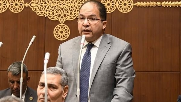 نائب: حوكمة الجمارك وتقليل زمن الإفراج الجمركي ضرورة لتعظيم العوائد الاقتصادية