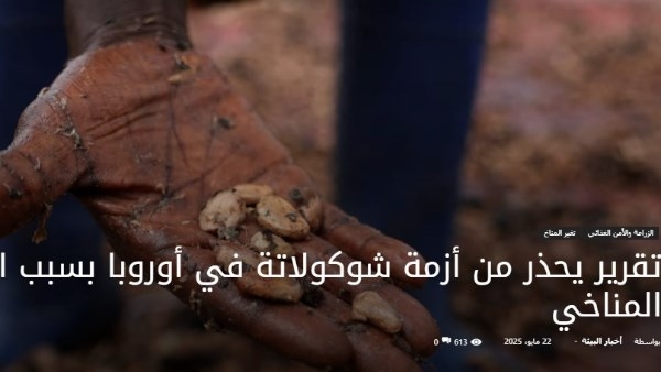 تقرير يحذر من أزمة شوكولاتة في أوروبا بسبب الانهيار المناخي