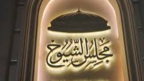التشريع يحسمها.. لماذا لن يتمكن الجميع من دخول سباق الشيوخ؟